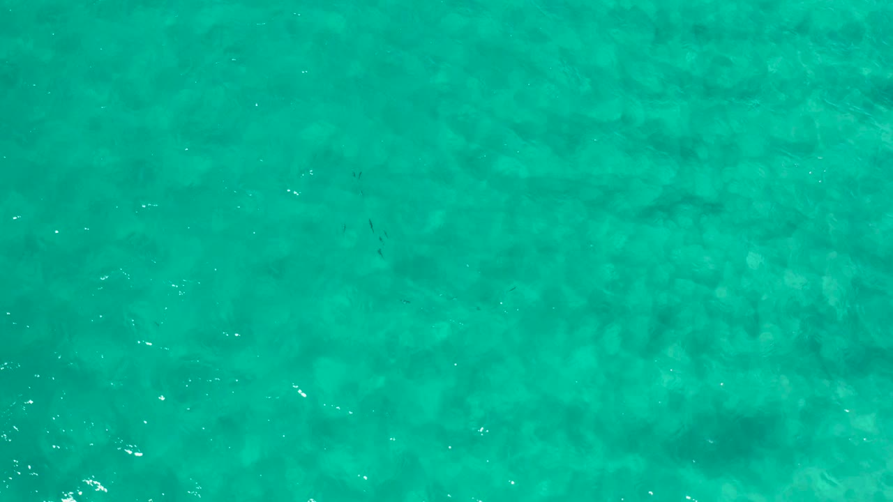 Mid-clip frame of shallow turquoise water in Los Cabos, Mexico, with even surface ripples and no visible people or objects.
