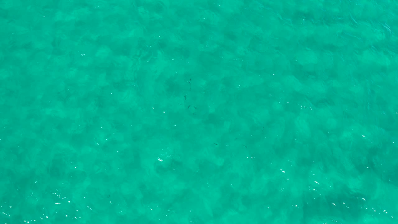 Open turquoise water in Los Cabos, Mexico, fills the frame with faint ripples, mottled depth changes, and no visible people.