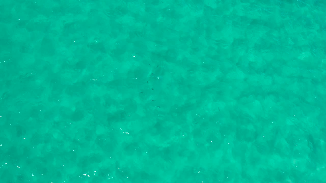 Aerial frame of blue-green Los Cabos sea with small bright reflections scattered across the surface and no visible people.
