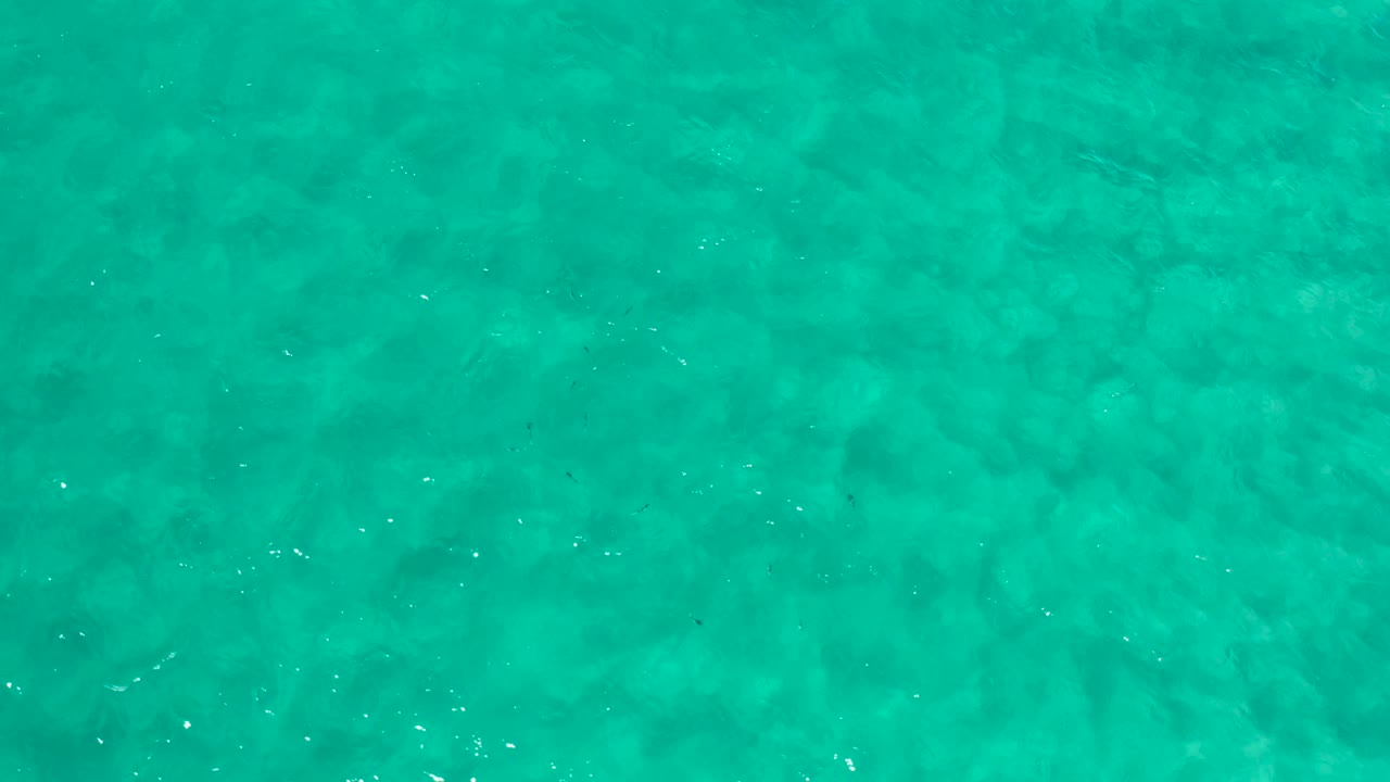 Blue-green shallow water fills the frame in Los Cabos, Mexico, with darker underwater patches and no visible people.