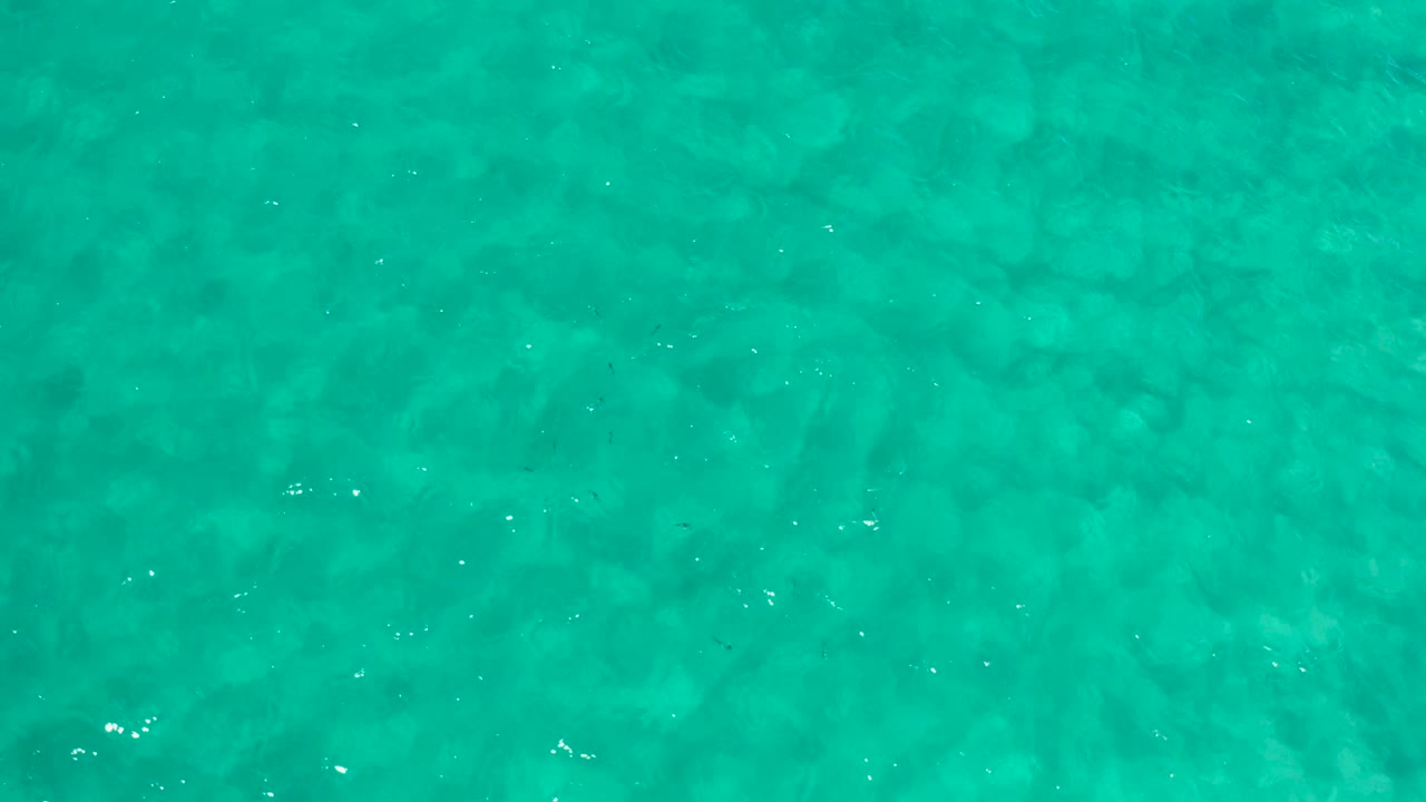Sunlit turquoise water with scattered white highlights across the surface.