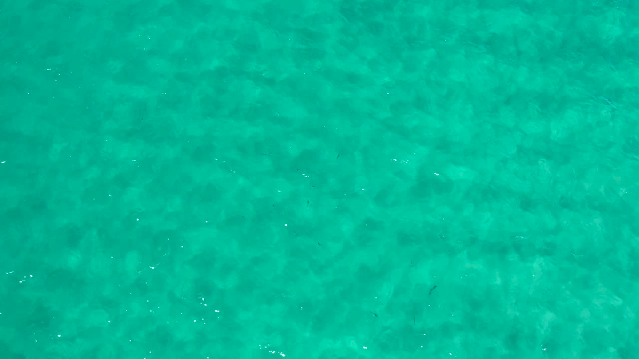 Clear green ocean surface in Los Cabos, Mexico, with small white sun reflections and no visible people.