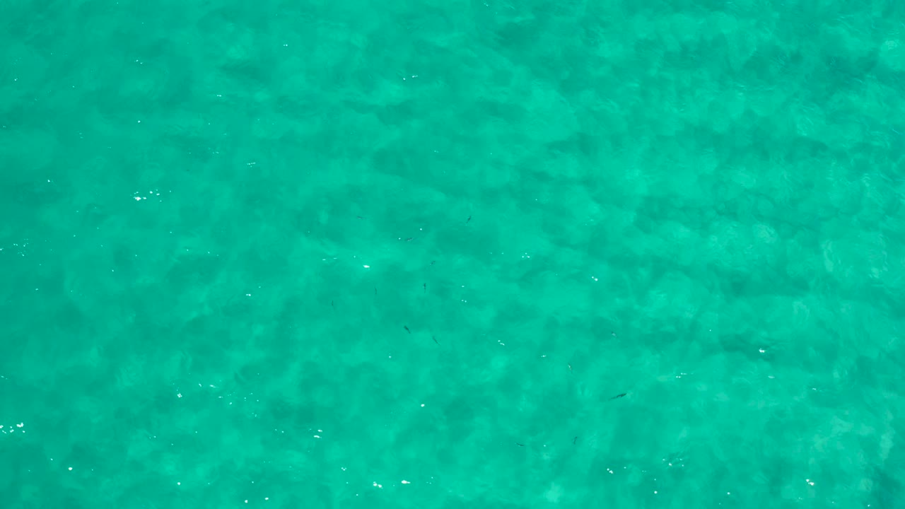 Overhead Los Cabos water frame with green ripples, darker shapes beneath the surface, and no visible people.
