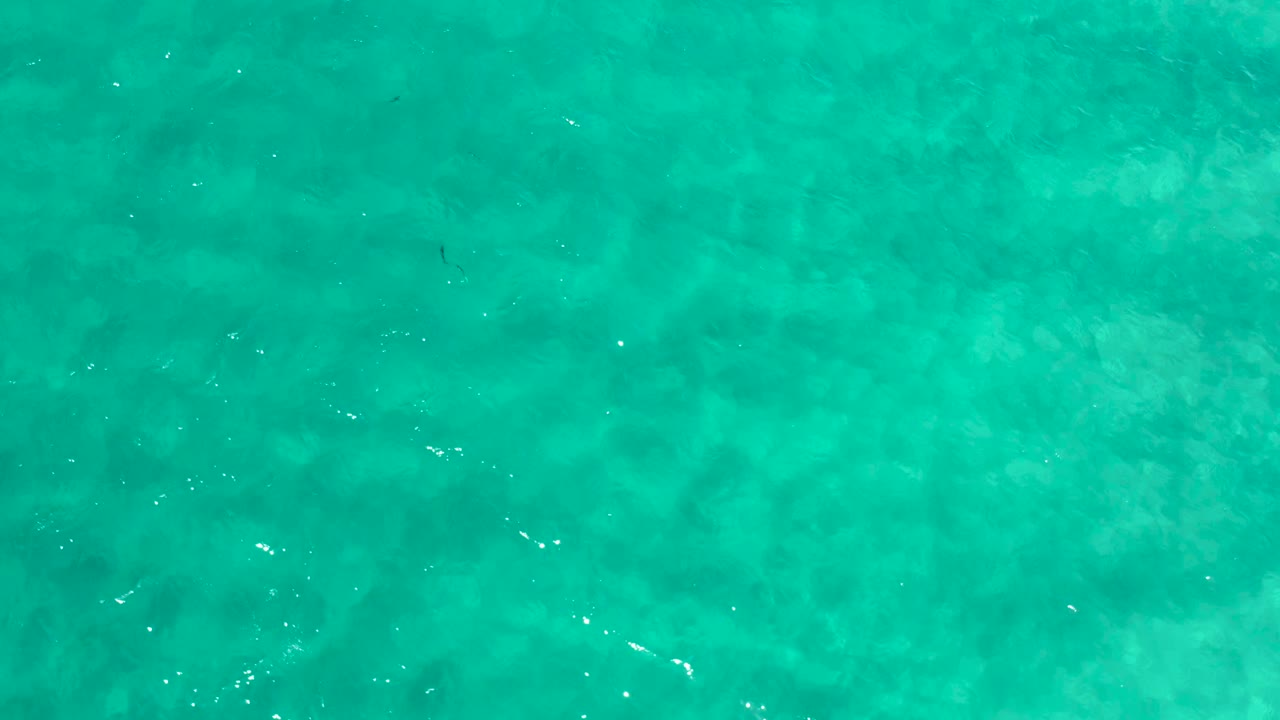 Overhead turquoise shallow water with ripples and darker seabed patches.
