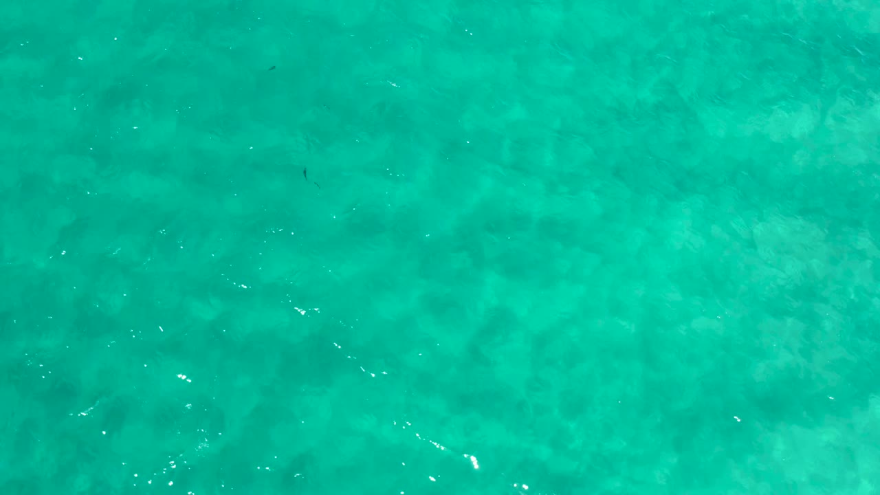 A shallow turquoise water frame from Los Cabos, Mexico, shows a faint small dark fish-like shape among mottled seabed tones and no visible people.