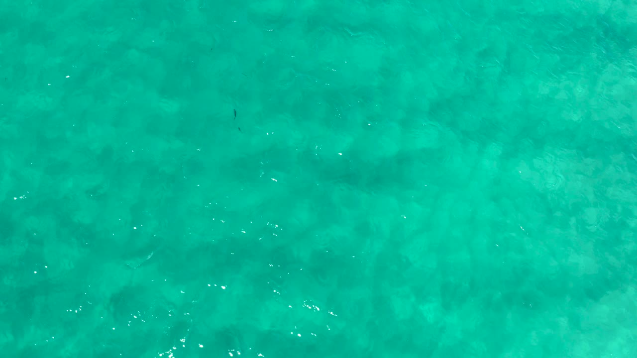 Overhead Los Cabos water appears bright aquamarine with white ripple streaks crossing a mottled shallow bottom and no visible people.