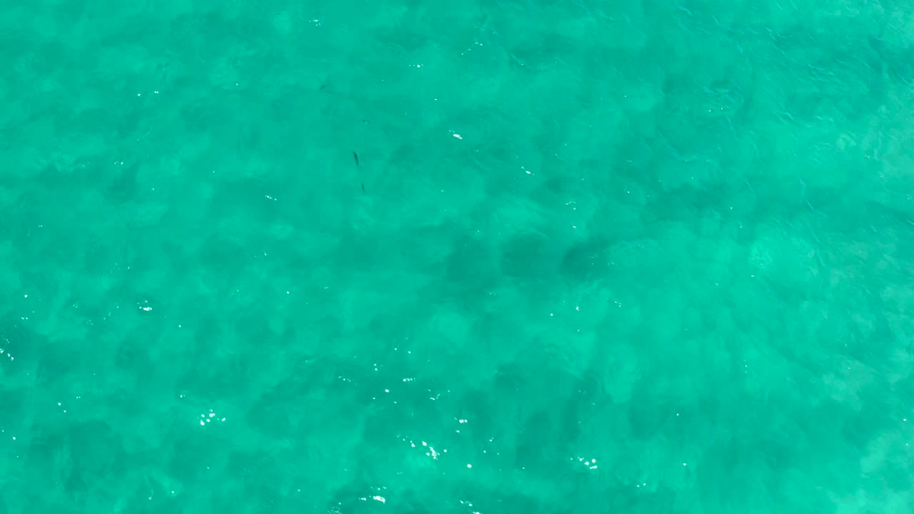 A straight-down frame of shallow turquoise water in Los Cabos, Mexico, shows subtle wave texture, cloudy darker patches below, and no visible people.