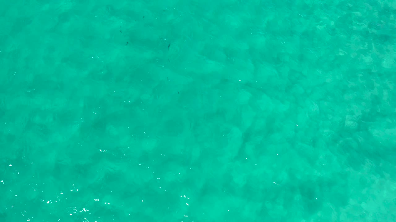 Blue-green water fills the frame in Los Cabos, Mexico, with soft surface shimmer and no visible people or boats.