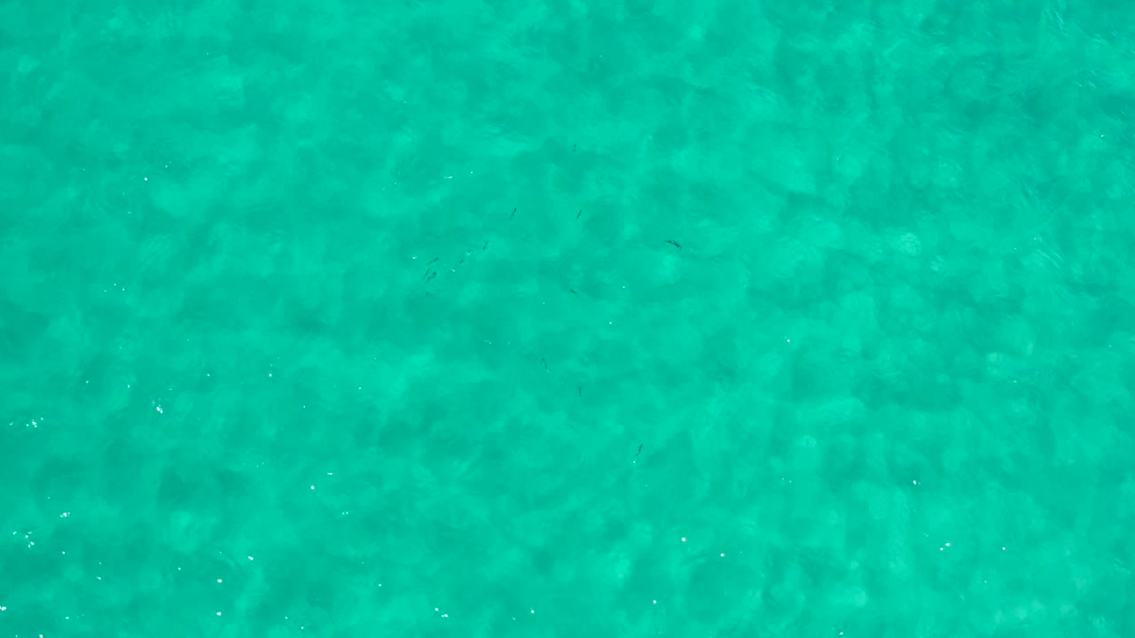 Overhead turquoise sea in Los Cabos, Mexico, showing transparent water, light ripple patterns, and no visible people.