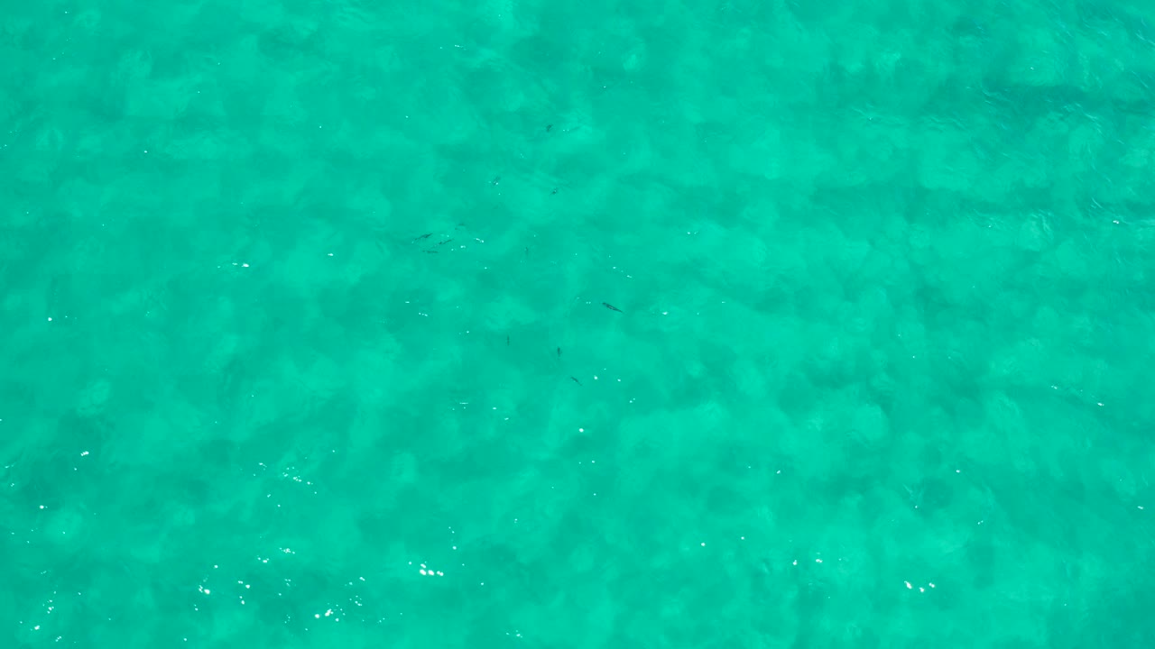 Overhead turquoise water with faint ripples and darker patches below the surface.