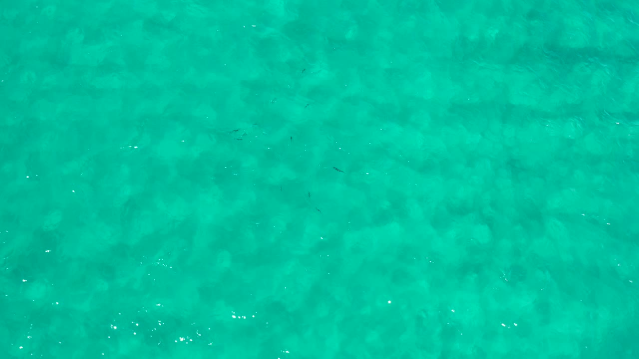 Clear teal beach water fills the Los Cabos frame, with scattered white sun reflections, faint wave movement, and no visible people.