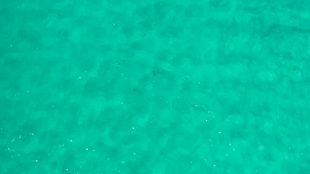 Turquoise Los Cabos beach water fills the frame with scattered bright specks from sunlight, soft ripples, and no visible people.