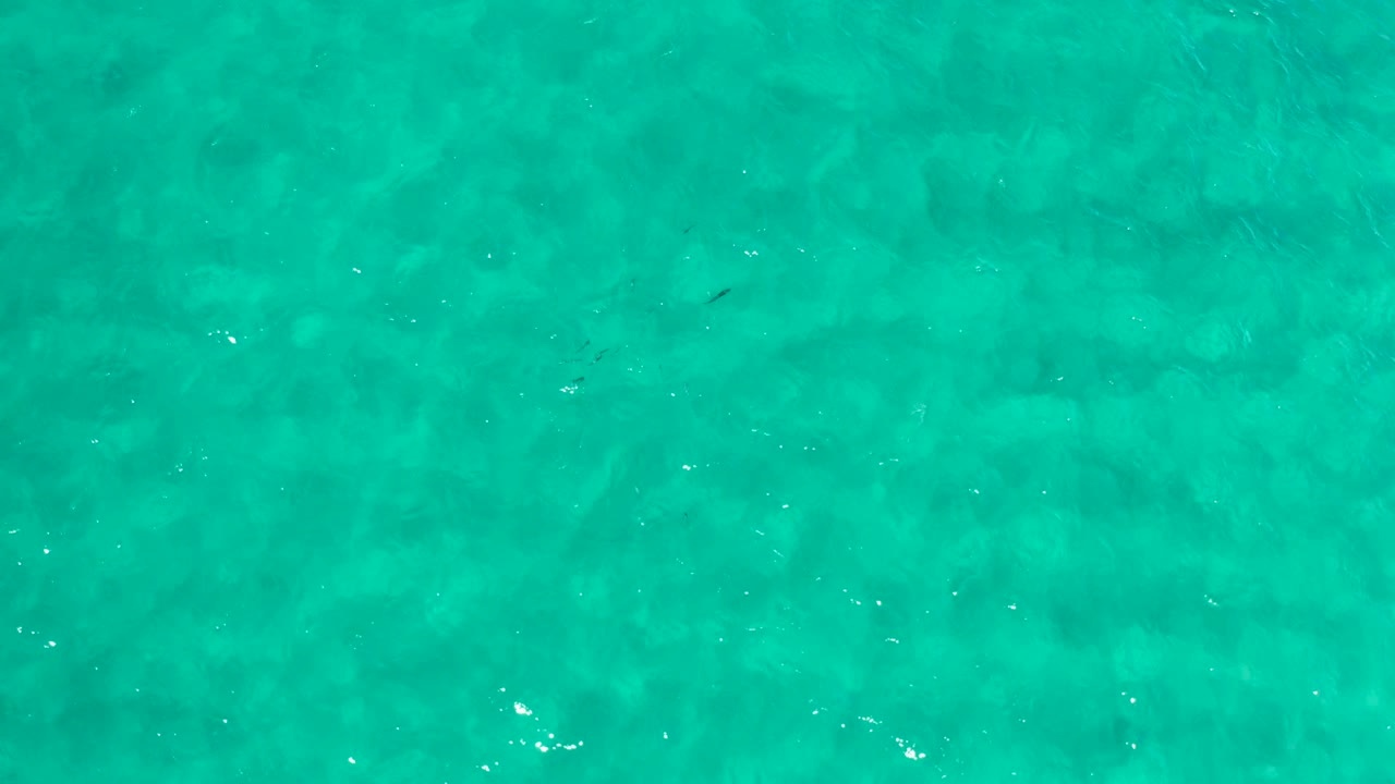 Top-down turquoise ocean water with faint seabed texture.
