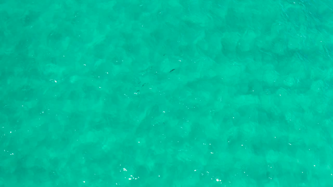 Overhead Los Cabos sea frame with turquoise surface ripples, darker underwater patches, and no visible people.