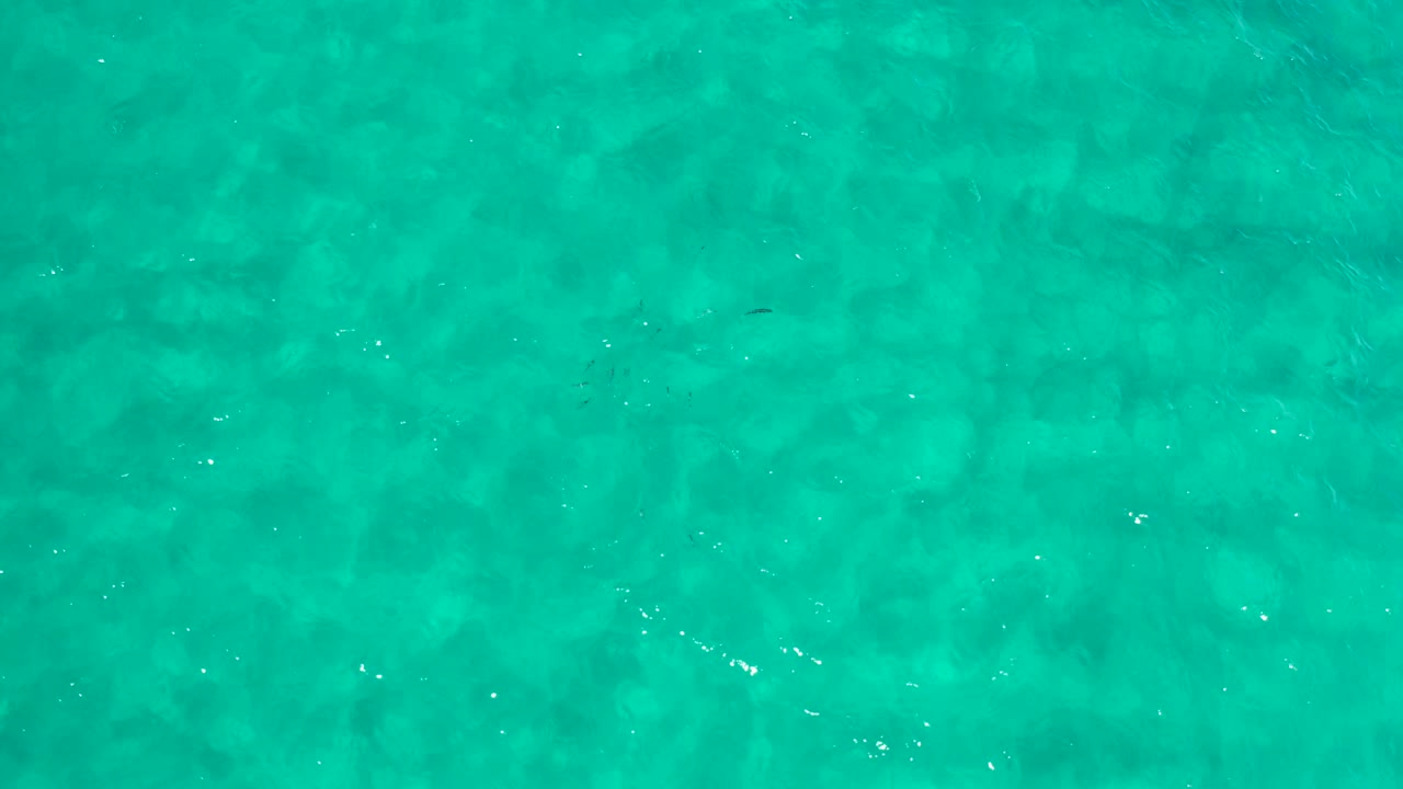 Aerial frame over turquoise water in Los Cabos, Mexico, showing scattered bright glints and no visible people.