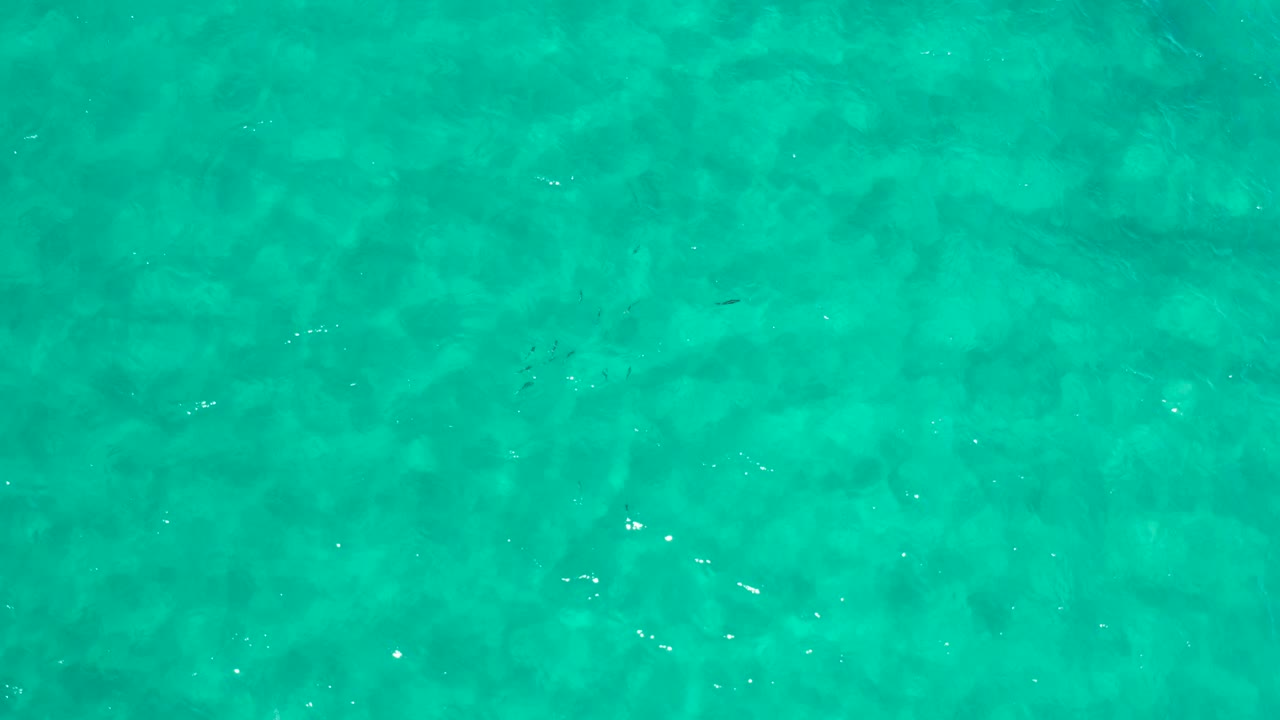 Top-down Los Cabos ocean frame with green water, faint darker shapes below the surface, and no visible people.