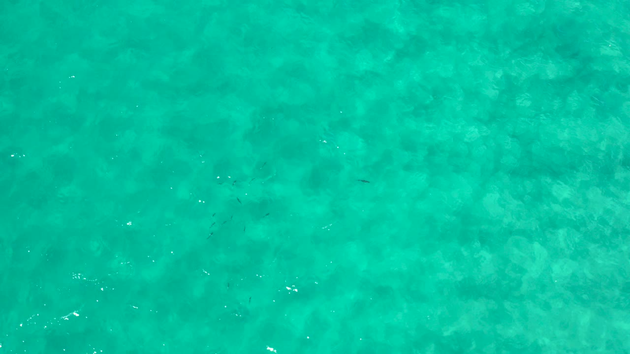 Overhead view of turquoise green ocean water in Los Cabos, Mexico, with faint shallow texture and no visible people.