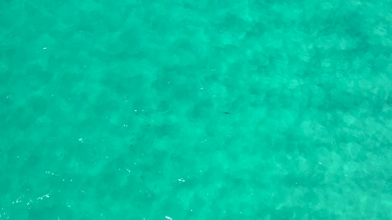 Top-down Los Cabos ocean frame showing green water, mottled shallow patterns, scattered white sun reflections, and no visible people.
