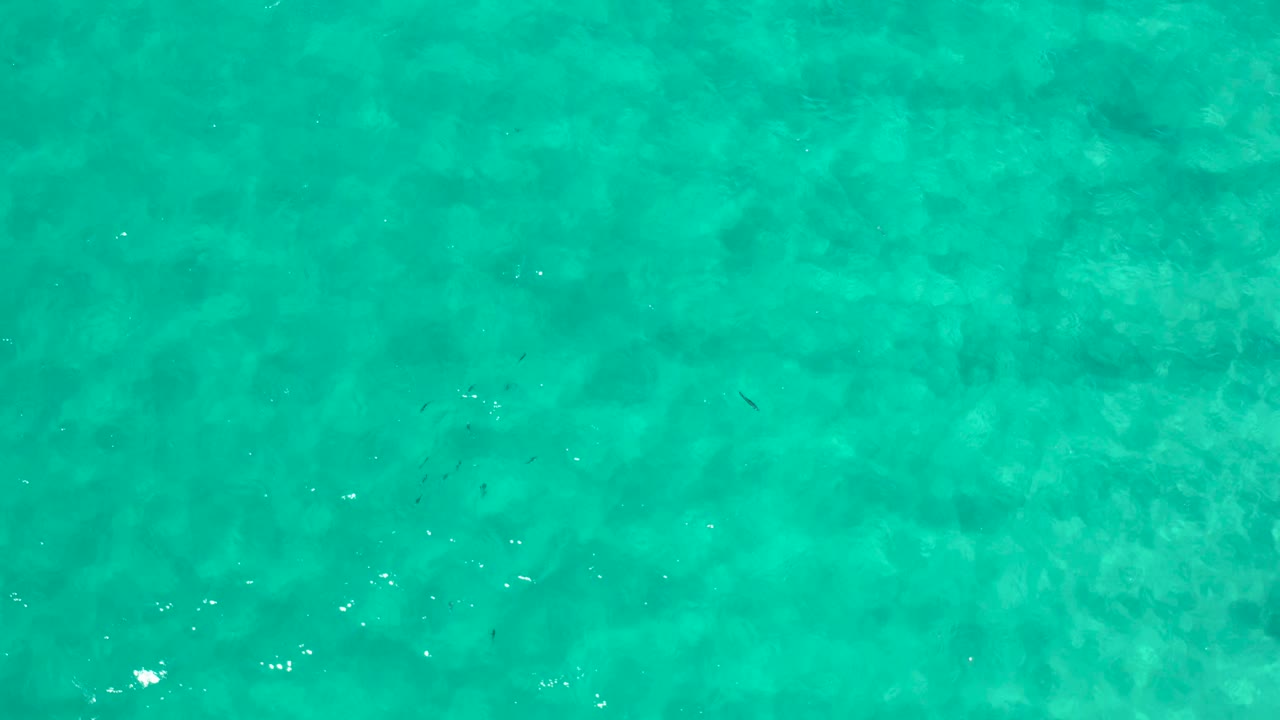 Aerial-looking view of Los Cabos green ocean water with darker submerged patches, soft ripple texture, and no visible people.