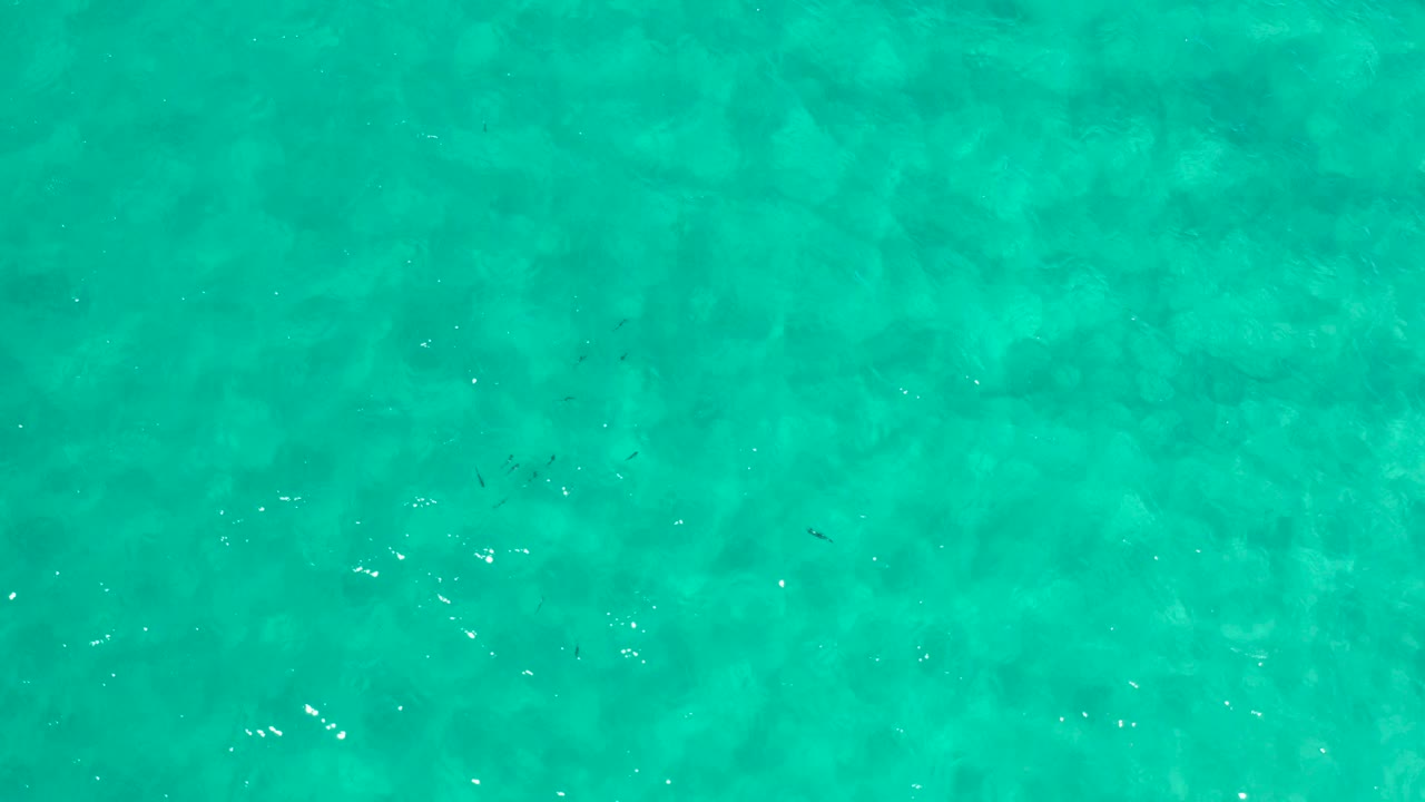 Overhead view of turquoise-green water in Los Cabos, Mexico, with pale underwater texture, scattered sun glints, and no visible people.