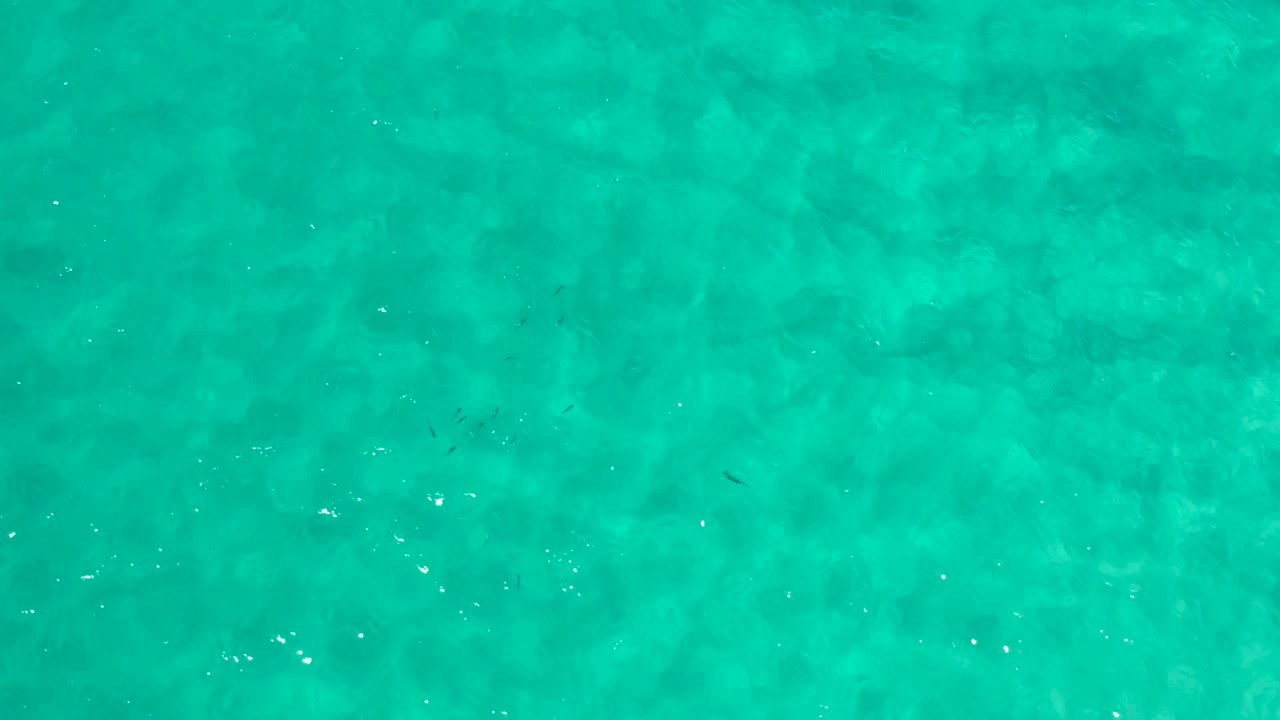 Clear green-blue water fills the frame in Los Cabos, Mexico, with soft sandy patterns below the surface and no visible people.