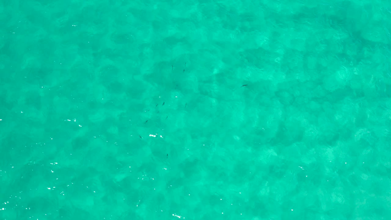 Top-down aerial view of bright green-blue ocean water in Los Cabos, Mexico, with scattered white ripple highlights and no visible people.