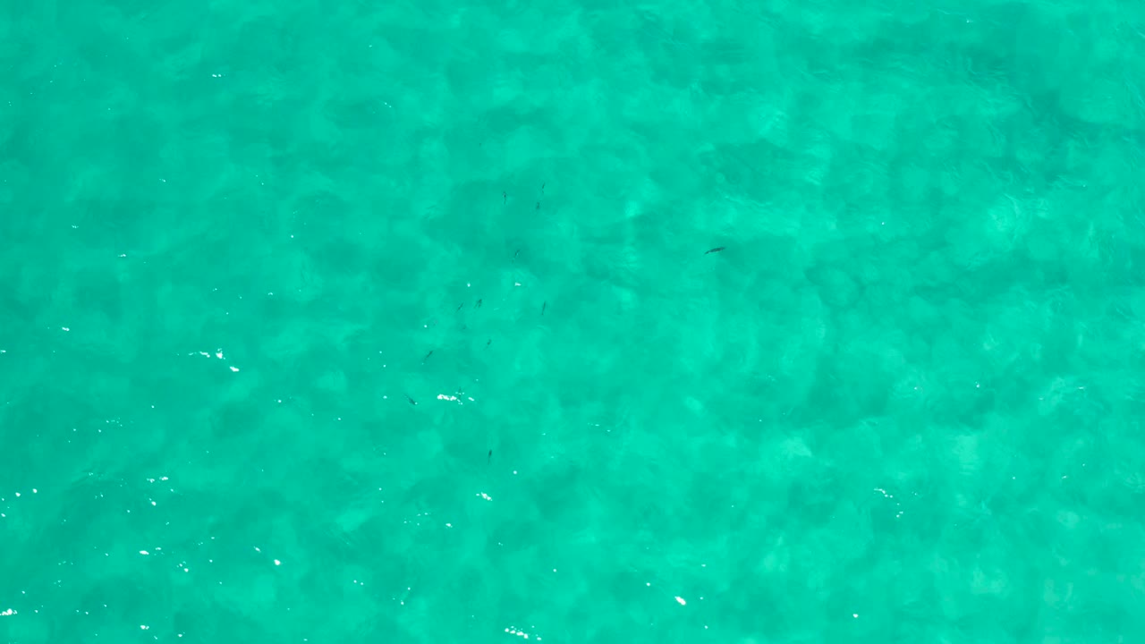 Bright green-blue water surface with faint darker patches below.