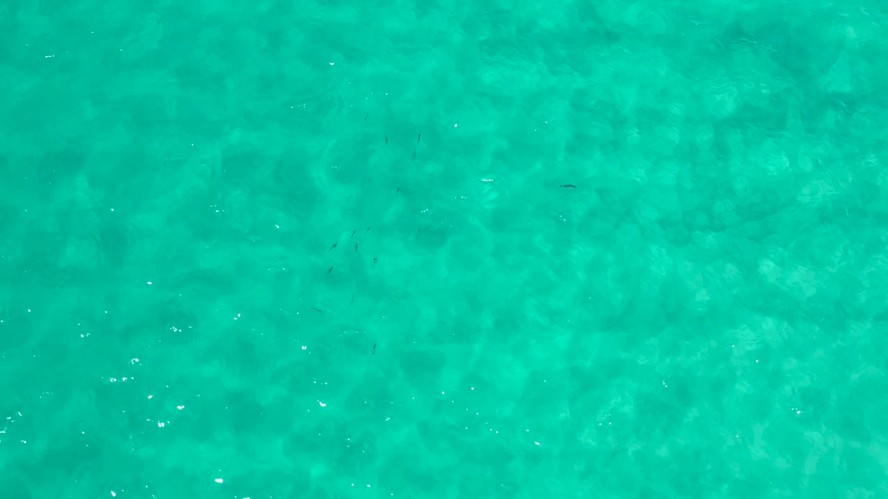 Top-down aerial over Los Cabos ocean water, showing a mottled turquoise surface with small bright ripple marks and no visible people or boats.