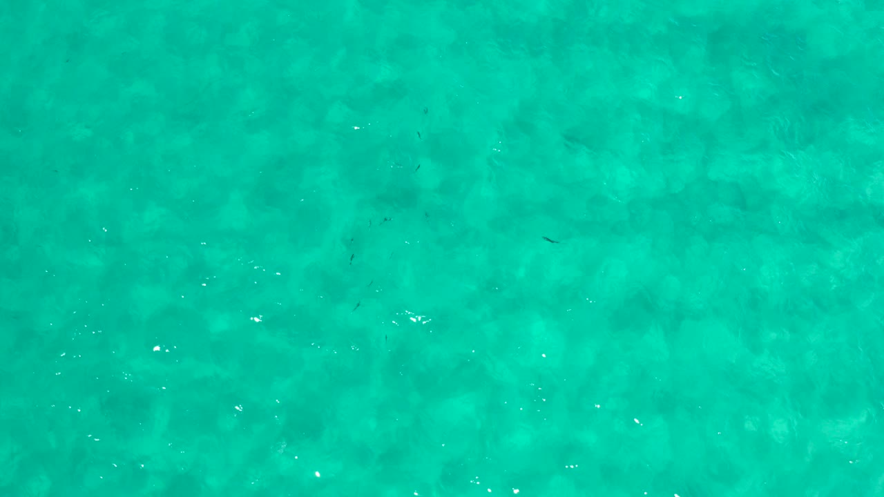 Turquoise ocean water seen from directly above.