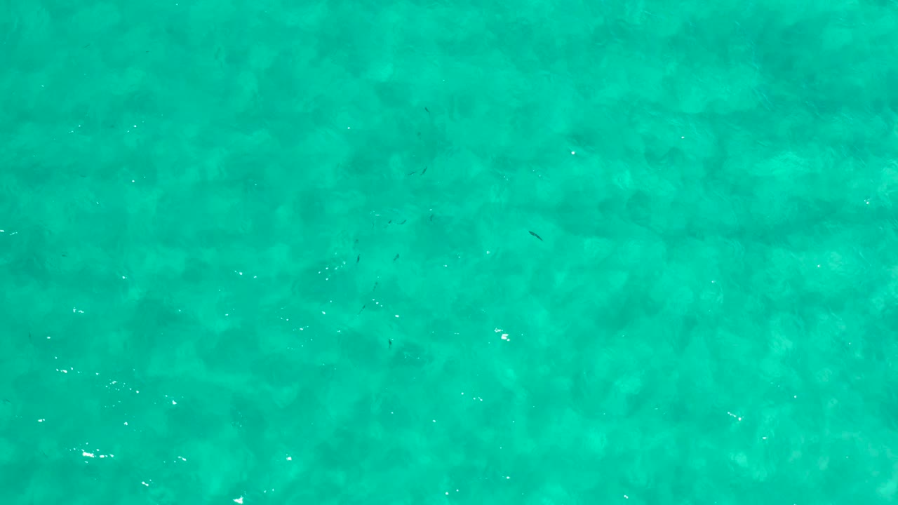 A straight-down view of Los Cabos turquoise water with a mottled subsurface pattern and no boats, shoreline, or visible people.