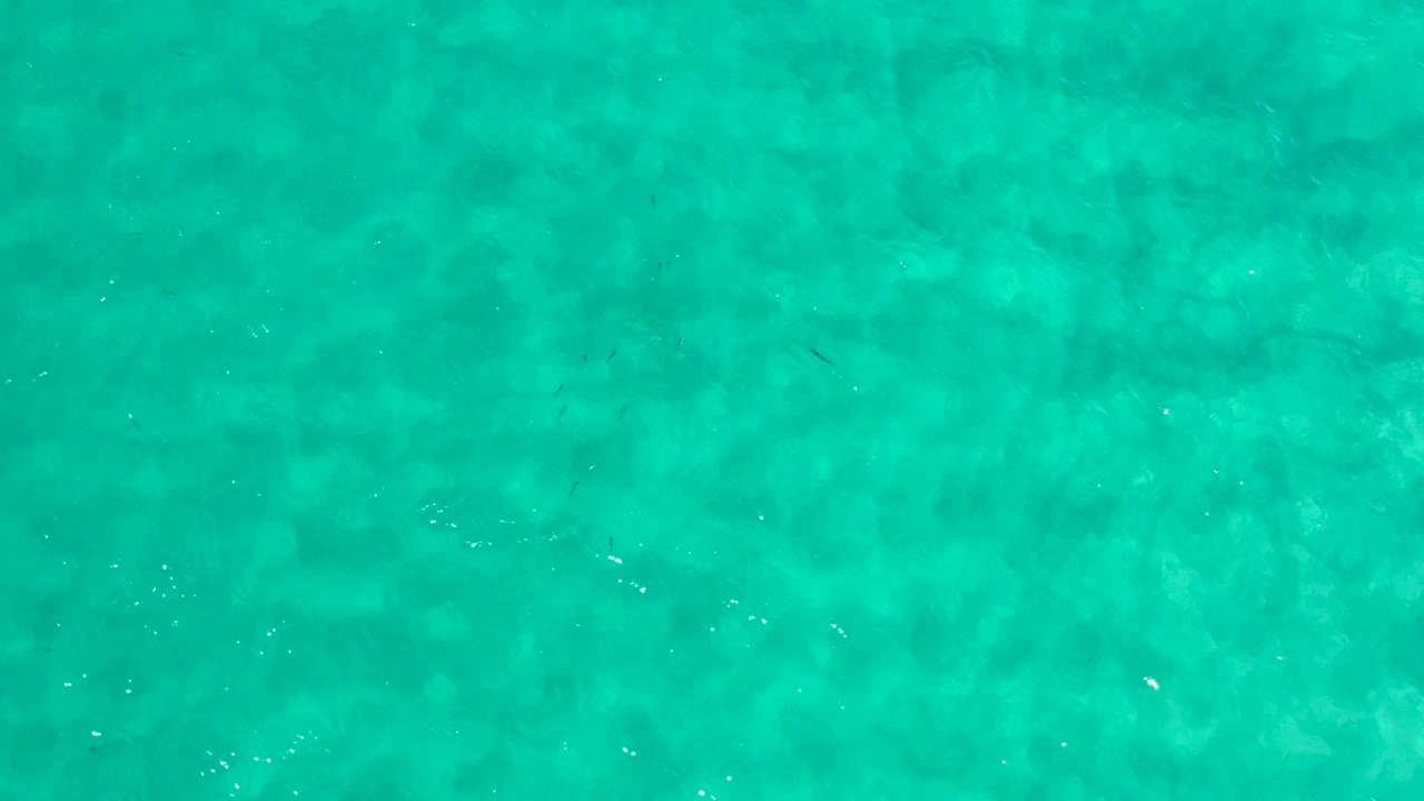 Mid-clip frame of turquoise ocean in Los Cabos, Mexico, with small bright ripple highlights and muted darker forms below, no visible people.