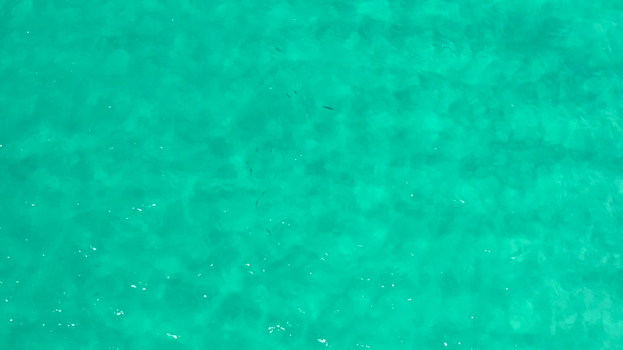 Turquoise water fills the second frame in Los Cabos, Mexico, with pale mottled areas below the surface and no visible people.