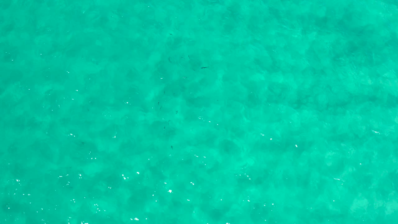 Aerial-looking view of Los Cabos ocean water, showing scattered white glints on the turquoise surface and no visible people or objects.