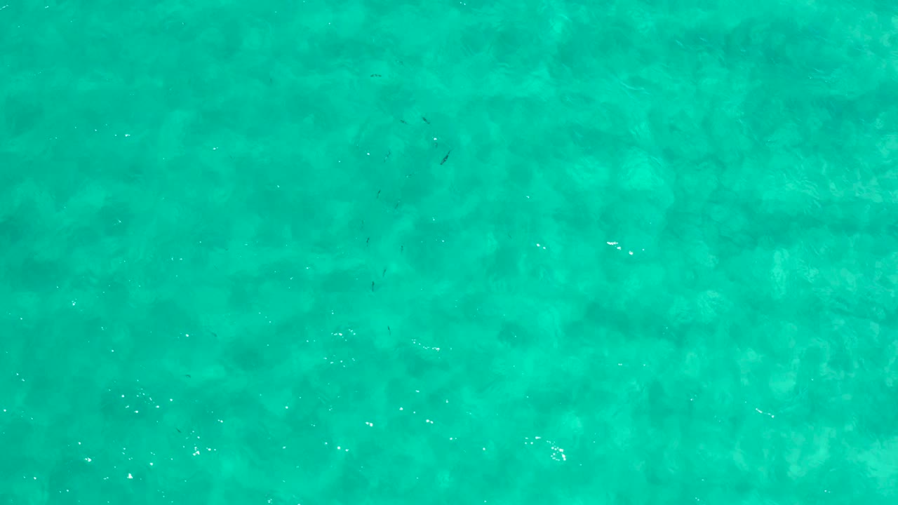 Mid-clip frame of open turquoise sea in Los Cabos, Mexico, with slight tonal bands in the water and no visible people, boats, or buildings.
