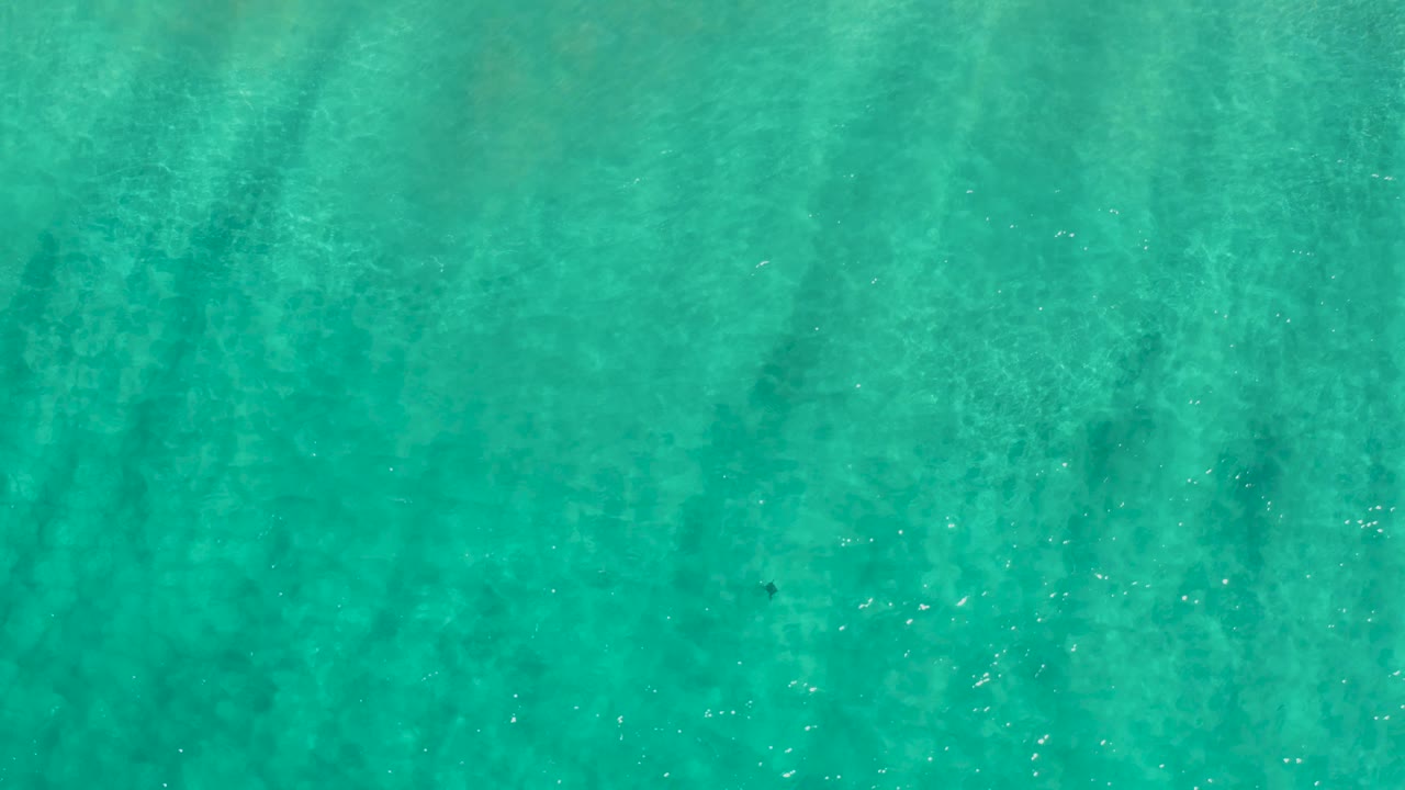 Blue green water surface with scattered bright reflections