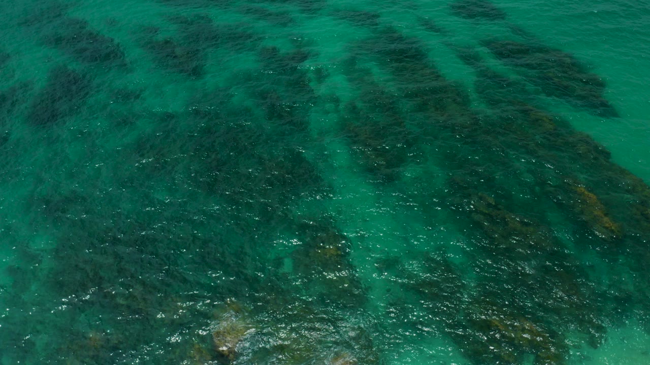 Overhead aquamarine shallow water with dark marine vegetation patches.