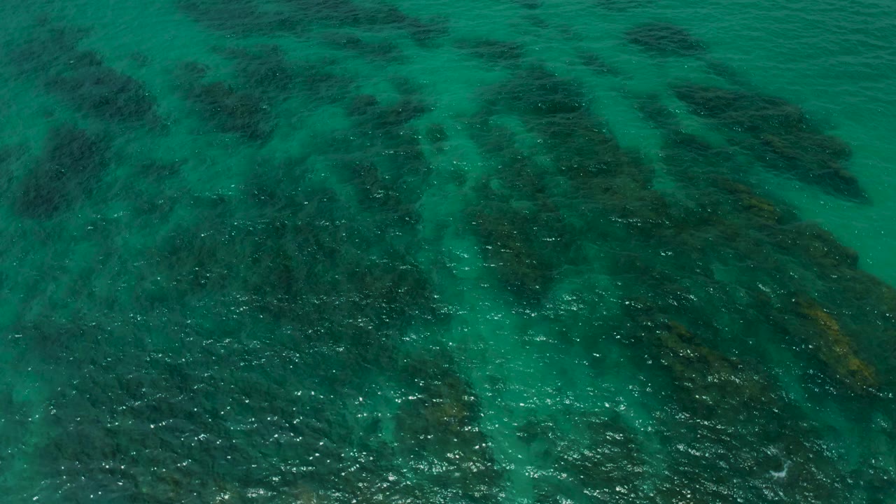 Top-down shallow water at Palmilla Beach Cabo, Mexico, shows darker marine vegetation divided by pale sand lanes beneath moving ripples, no visible people.