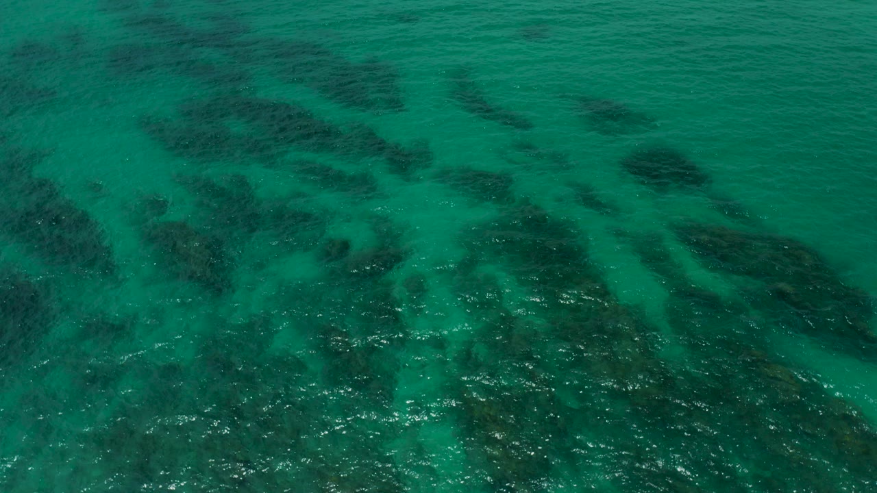 Overhead view of turquoise water at Palmilla Beach Cabo, Mexico, with dark submerged rocks or plants near the lower edge and no visible people.