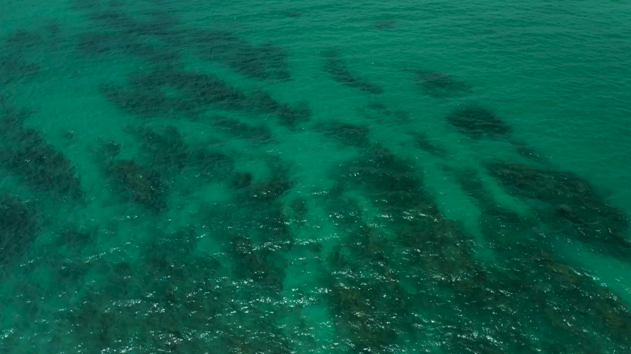 Aerial frame of green-blue water at Palmilla Beach Cabo, Mexico, with scattered dark seabed forms and faint surface shimmer, no visible people.