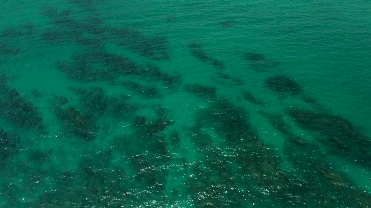 Top-down view of turquoise water at Palmilla Beach Cabo, Mexico, where darker reef-like or plant-covered patches sit beneath the surface with no visible people.