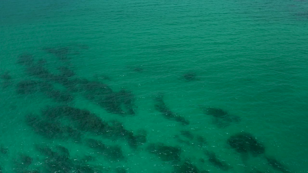 Top-down aerial view of green ocean at Palmilla Beach Cabo, Mexico, with dark underwater patches near the lower edge and no visible people.
