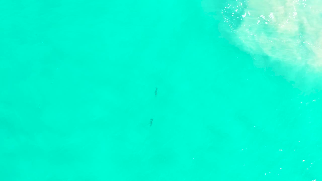 Teal water fills the San Jose Del Cabo frame, with faint dark marks below the surface and a pale white patch clipped near the upper right, with no visible people.