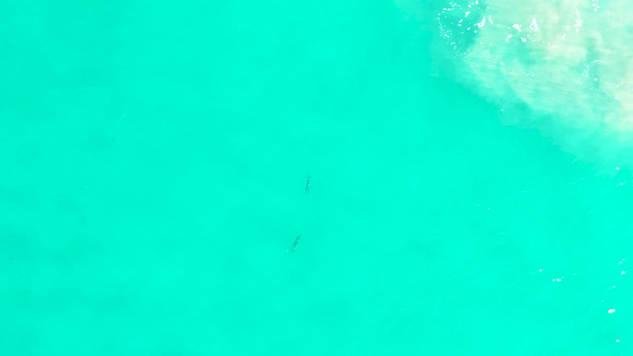 Turquoise ocean water in San Jose Del Cabo shows a soft pale white area at the upper right corner and sparse tiny marks in the water, with no visible people.