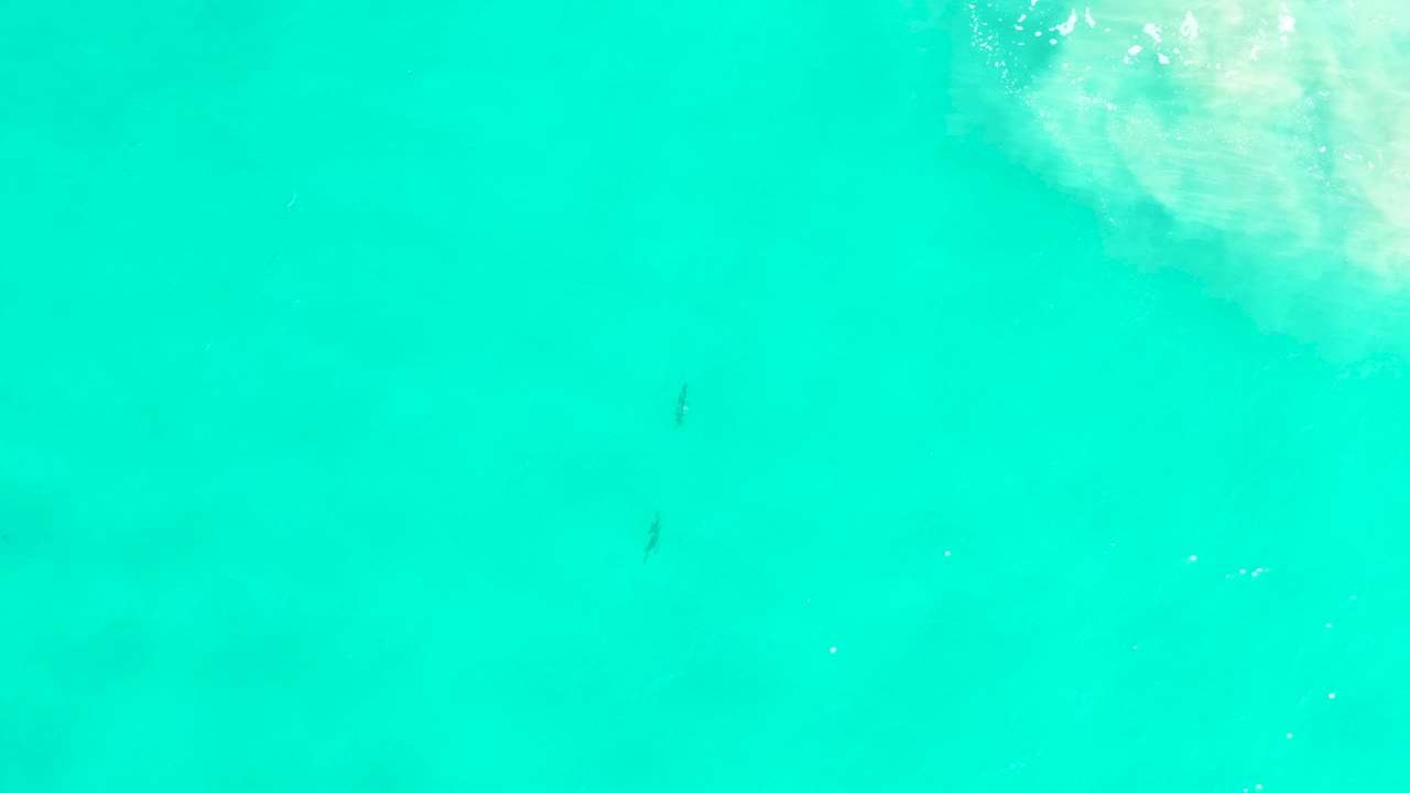 San Jose Del Cabo teal water fills the frame with two small dark marks near the center-left and a faint pale area in the upper right, with no visible people.