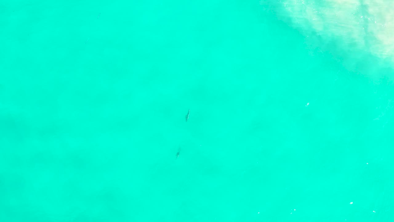 Overhead view of turquoise water in San Jose Del Cabo, Mexico, with faint darker underwater patches and no visible people at the opening moment.