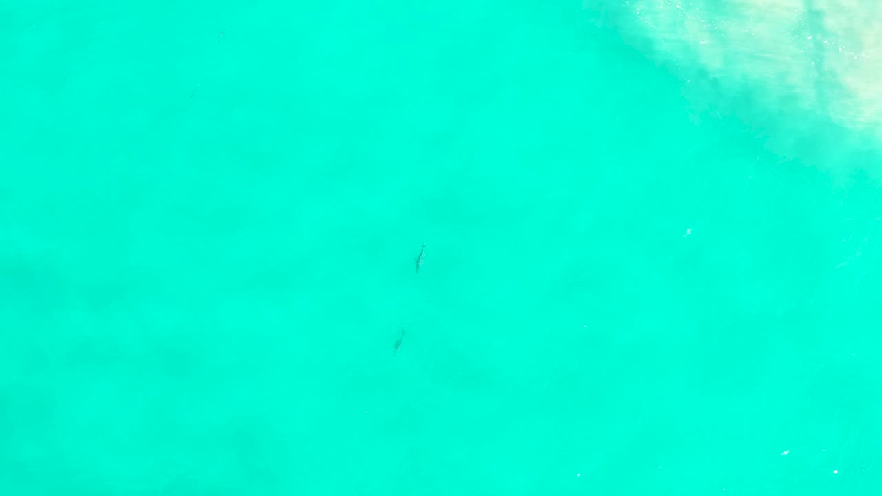 Bright aqua water with pale surf or sand texture near the upper right.