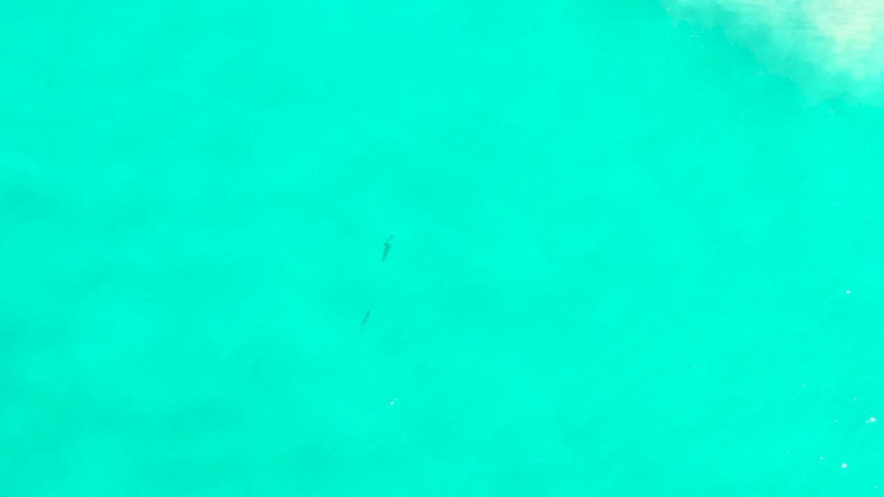 Green-blue sea water in San Jose Del Cabo shows a pale cloudy patch near the upper right and no visible people.