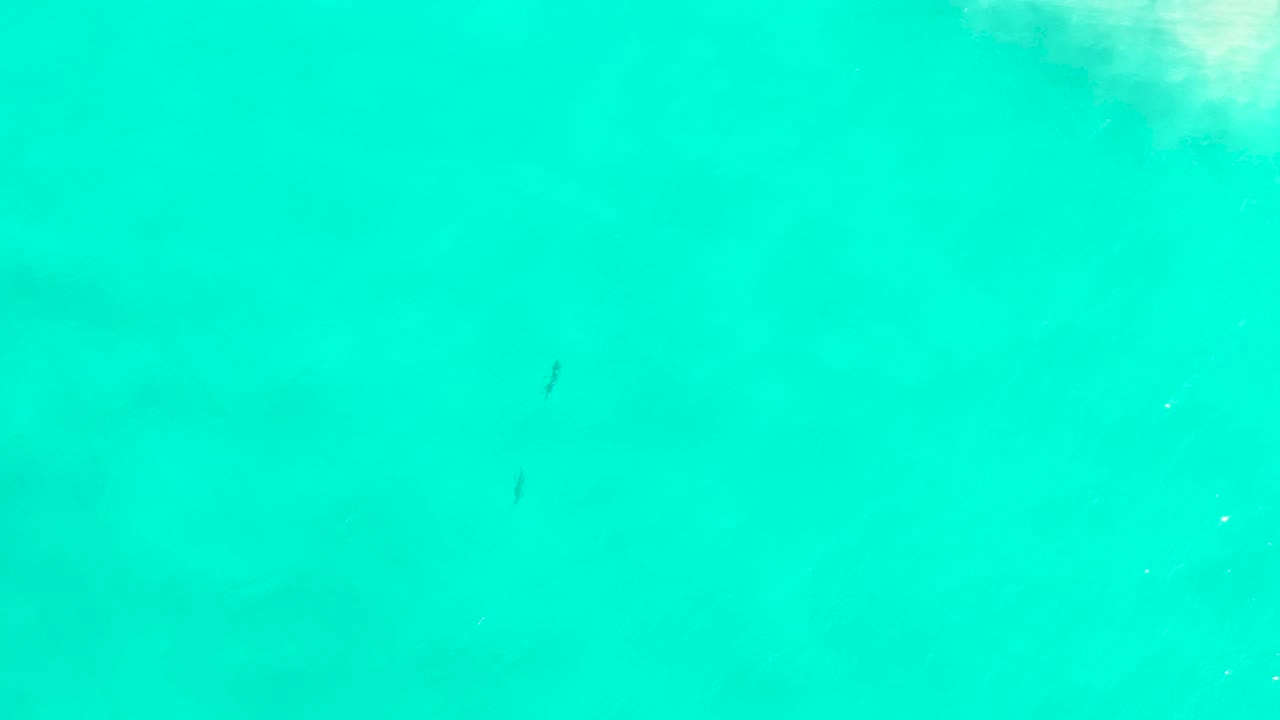 Turquoise sea water in San Jose Del Cabo appears nearly uniform, with tiny pale specks and no visible people.
