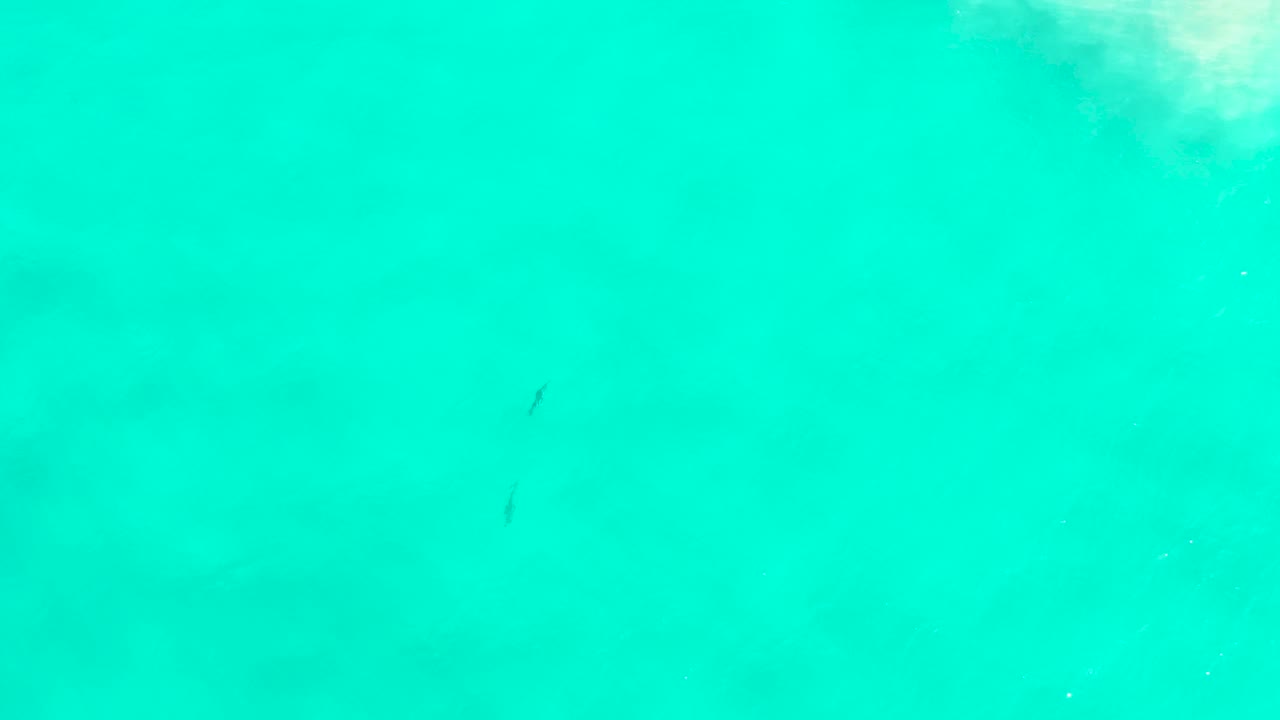 Aqua sea water in San Jose Del Cabo fills the frame with a soft bright patch near the top and no visible people.