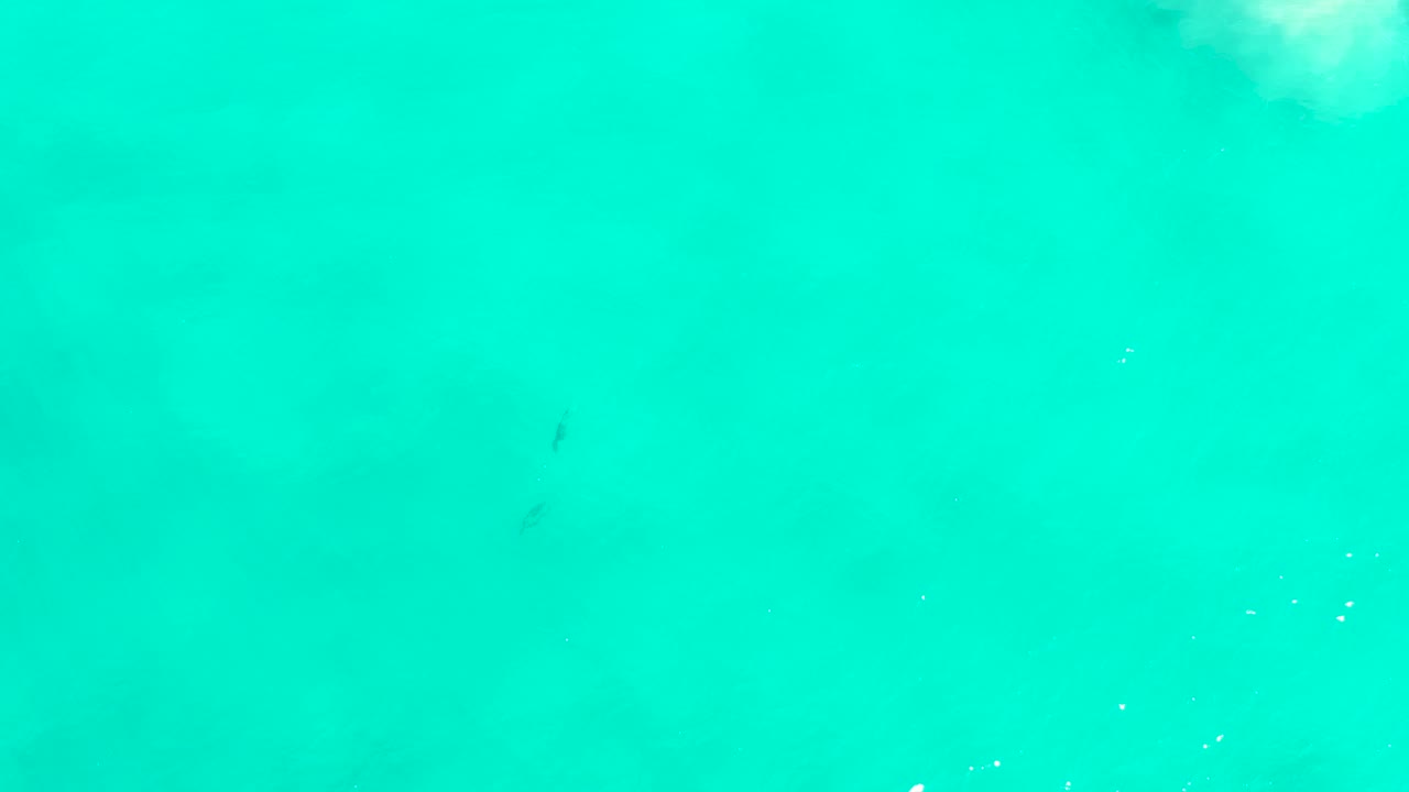 Open turquoise water in San Jose Del Cabo appears as an uninterrupted field, with faint darker marks below the surface and no visible people or shoreline.